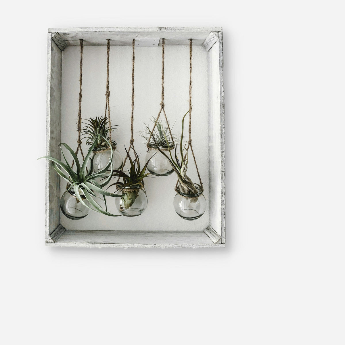 Botanical Home Accents