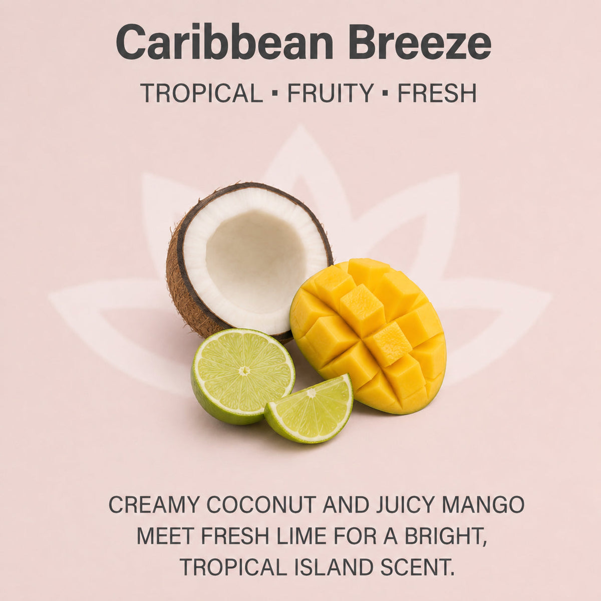 Organic Whipped Body Butter for Extremely Dry Skin