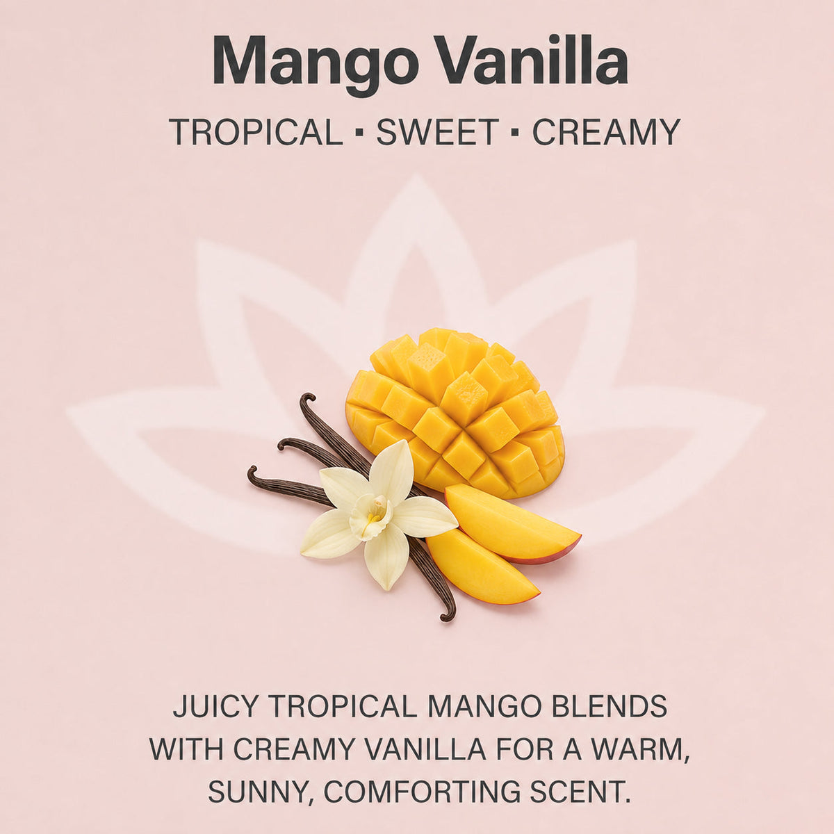 Organic Whipped Body Butter for Extremely Dry Skin