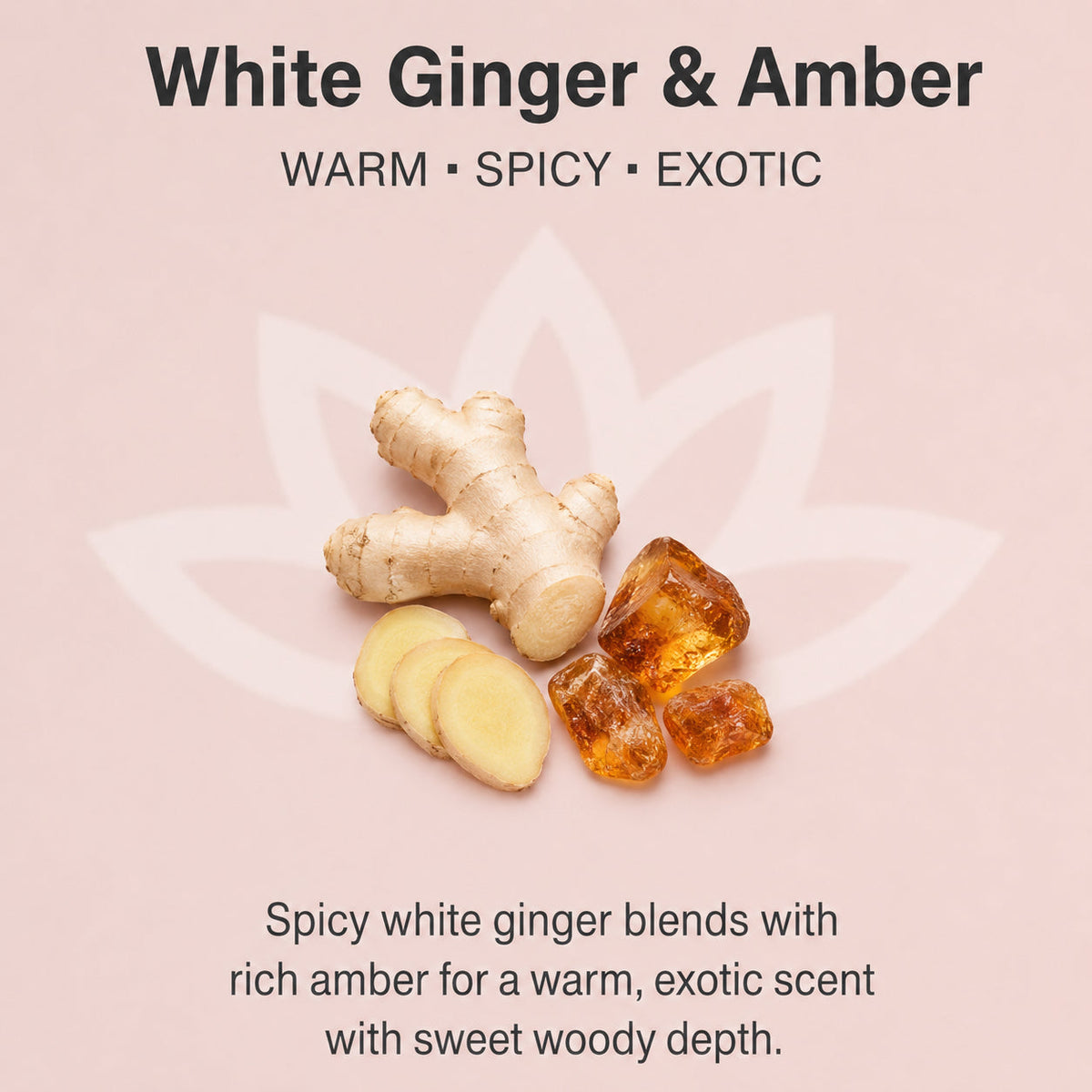 Organic Whipped Body Butter for Extremely Dry Skin
