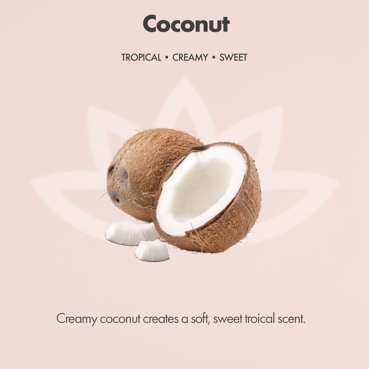 Organic Whipped Body Butter for Extremely Dry Skin