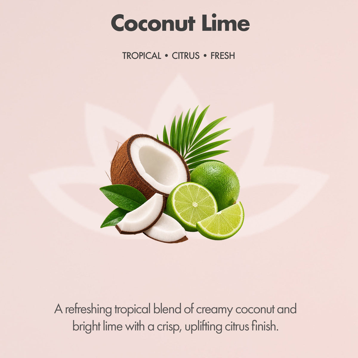 Organic Whipped Body Butter for Extremely Dry Skin