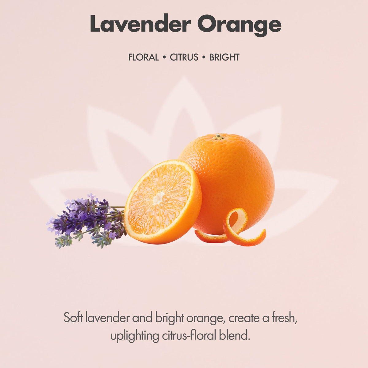 Organic Whipped Body Butter for Extremely Dry Skin